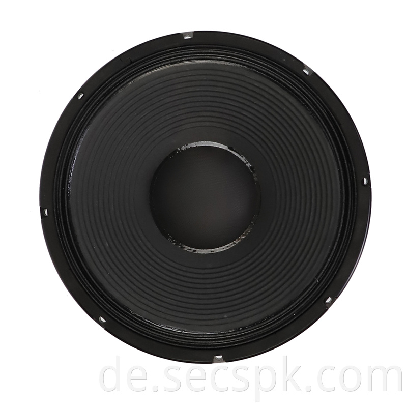 High Power Concert Speaker